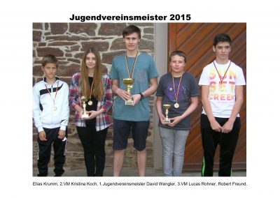 1505_VM 2015 Jugend_Aushang